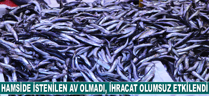 Hamside istenilen avın olmaması ihracatı olumsuz etkiledi