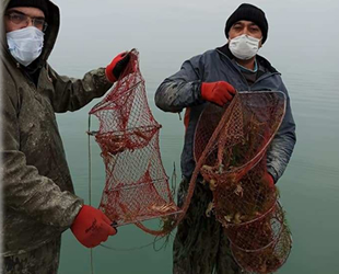 Eğirdir Gölü’nde 820 adet kerevit pinterine el konuldu