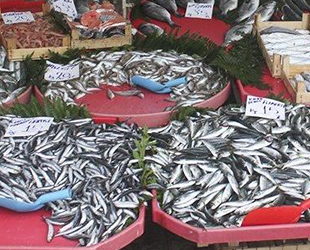 Tekirdağ'da balıkçı, komşu balıkçıyı soydu