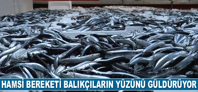 Karadeniz'de hamsi bereketi yaşanıyor