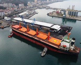 Hopaport, 11 ayda 189 adet gemi ağırladı