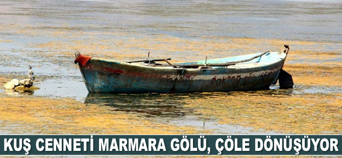 Kuş Cenneti Marmara Gölü, çöle dönüşüyor
