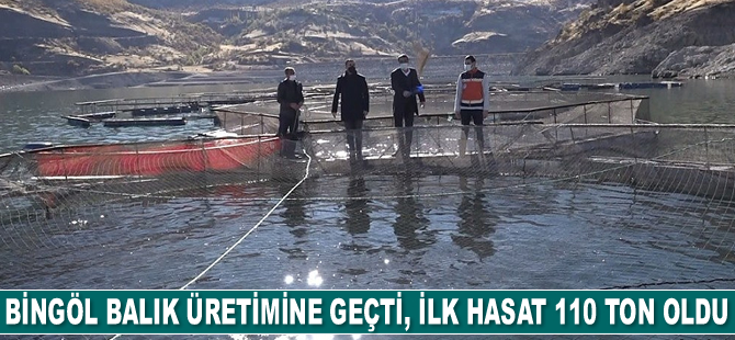 Bingöl balık üretimine geçti, ilk hasat 110 ton oldu