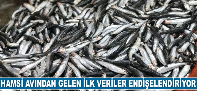 Cemal Dinçer: Hamsi avında ilk veriler endişelendiriyor