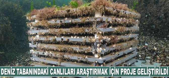 Deniz tabanlarındaki canlıları araştırmak için proje geliştirildi
