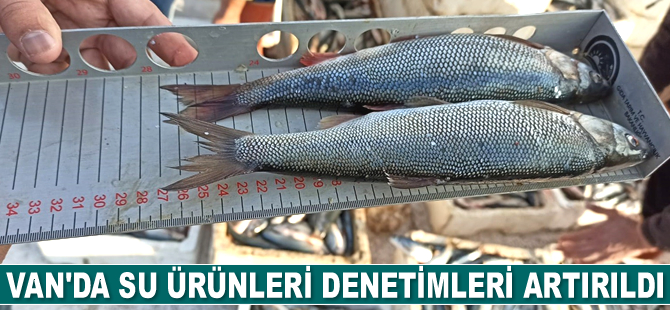 Van’da su ürünleri denetimleri artırıldı