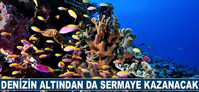 Denizin altından da sermaye kazanacak