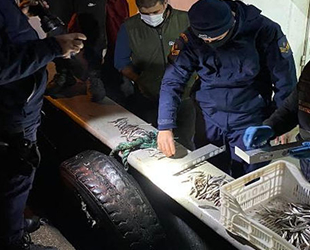 Akçakoca’da yapılan denetimde 15 ton hamsiye el konuldu