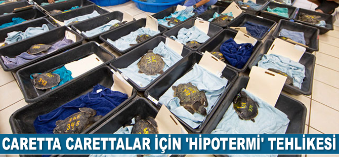 Caretta carettalar için 'hipotermi' tehlikesi uyarısı geldi