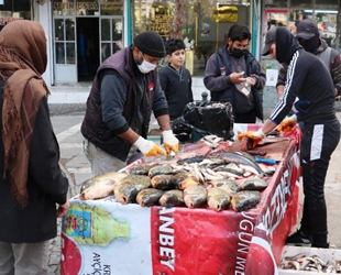 Fırat’ın balıkları geçim kaynağı oldu