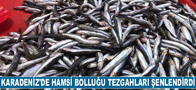 Karadeniz'de hamsi bolluğu tezgahları şenlendirdi