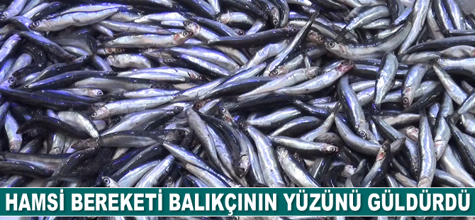 Hamsi bereketi balıkçının yüzünü güldürdü