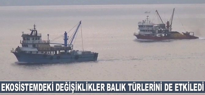 Ekosistemdeki değişiklikler balık türlerini de etkiledi