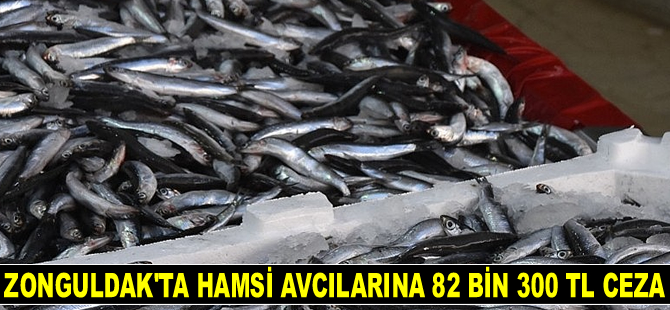 Zonguldak’ta hamsi avcılarına 82 bin 300 TL ceza kesildi