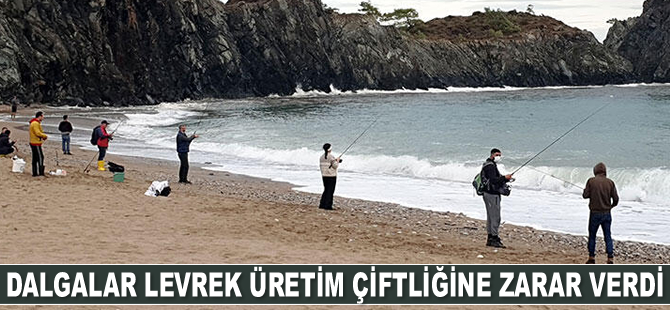 Kemer'de dalgalar levrek üretim çiftliğine zarar verdi