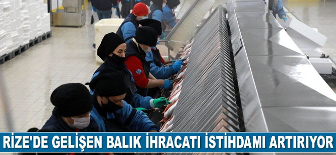 Rize'de gelişen balık ihracatı istihdamı artırıyor