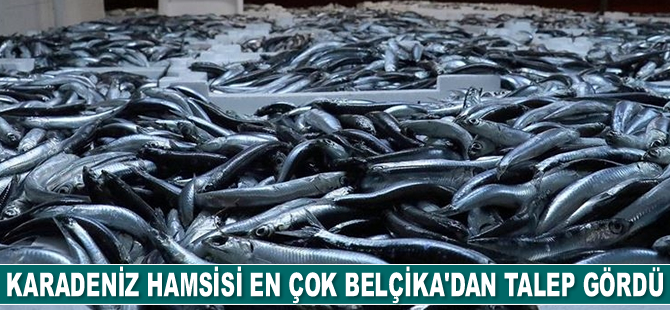 Karadeniz hamsisi en çok Belçika'dan talep gördü