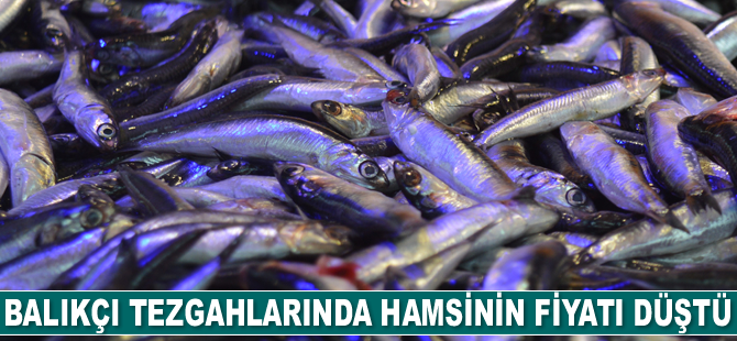 Eskişehir’de balıkçı tezgahlarında hamsinin fiyatı düştü