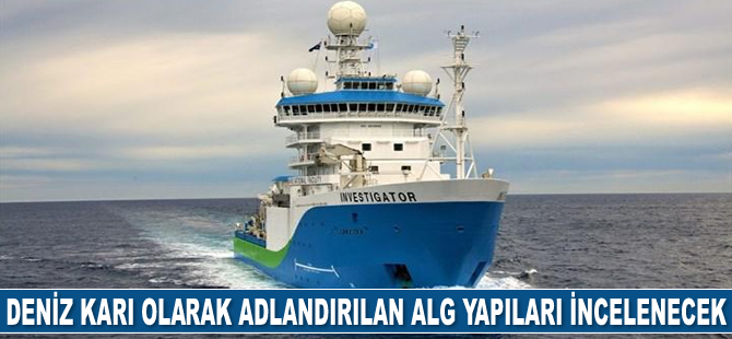 Deniz diplerinde deniz karı olarak adlandırılan alg yapıları incelenecek