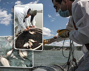 Terkos Gölü'nde yasadışı balıkçılık denetiminde 2 ton balık yakalandı