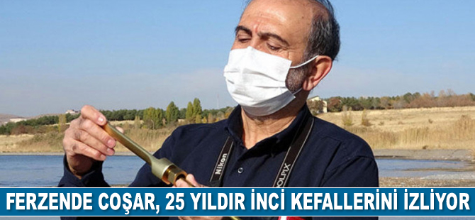 Ferzende Coşar, 25 yıldır inci kefallerini izliyor