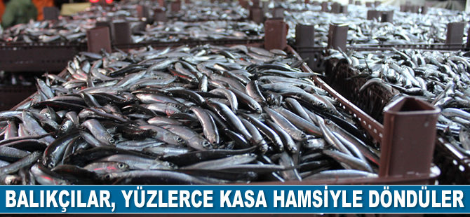 Balıkçılar, yüzlerce kasa hamsiyle döndüler