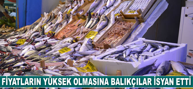 Fiyatların yüksek olmasına balıkçılar isyan etti