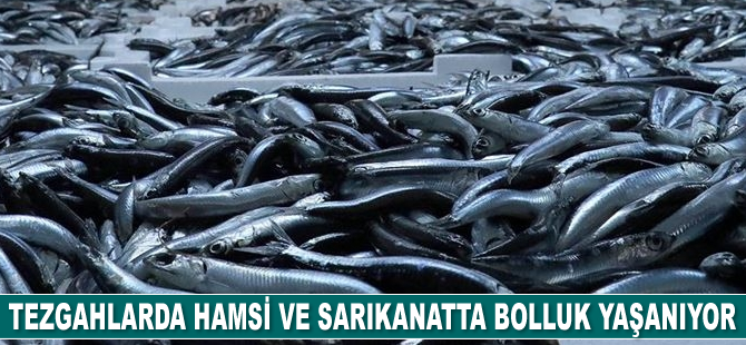 Havalar soğudu, balıklar yağlandı