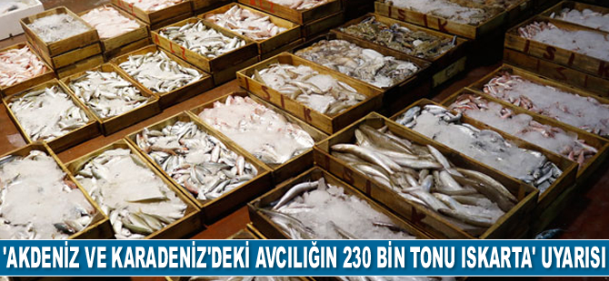 FAO uyardı: Akdeniz ve Karadeniz'deki avcılığın 230 bin tonu ıskarta