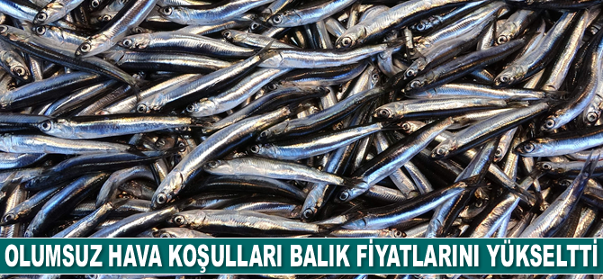 Olumsuz hava koşulları balık fiyatlarını yükseltti