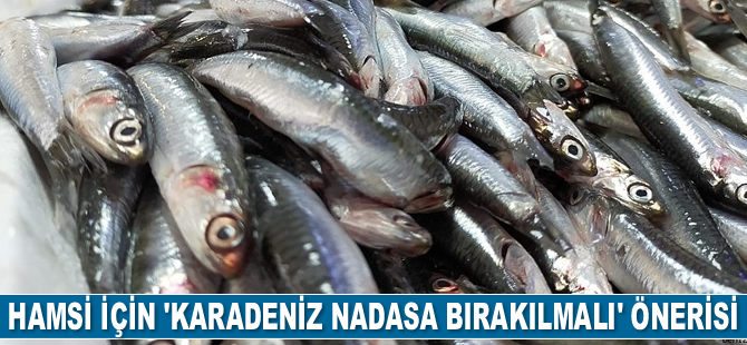 Hamsi için ‘Karadeniz nadasa bırakılmalı’ önerisi geldi