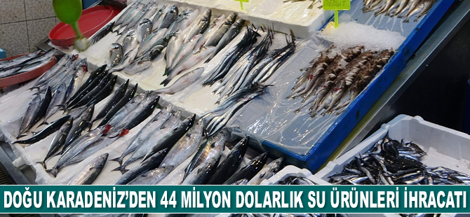 Doğu Karadeniz su ürünleri ihracatından 44,2 milyon dolar kazandı