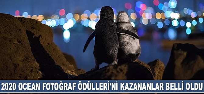 2020 Ocean Fotoğraf Ödülleri'ni kazananlar belli oldu