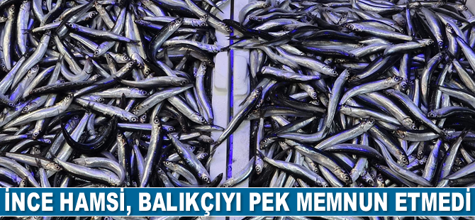 İnce hamsi, balıkçıyı memnun etmedi