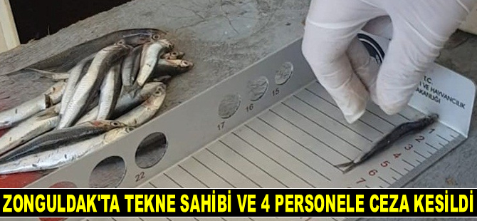 Zonguldak’ta tekne sahibi ve 4 personele ceza kesildi