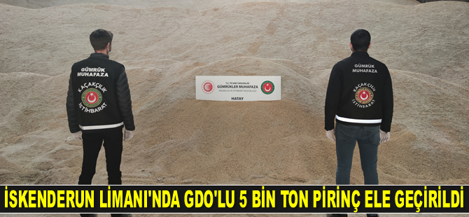 İskenderun Limanı’nda GDO’lu 5 bin ton pirinç ele geçirildi
