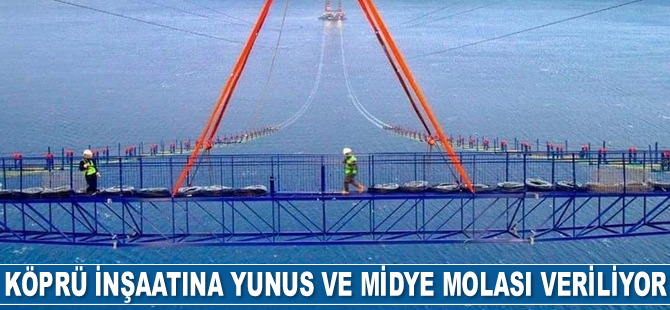 Köprü inşaatına yunus ve midye molası veriliyor