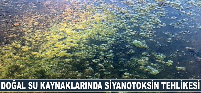 Uzmanlar, doğal su kaynaklarındaki siyanobakteri artışına karşı uyardı