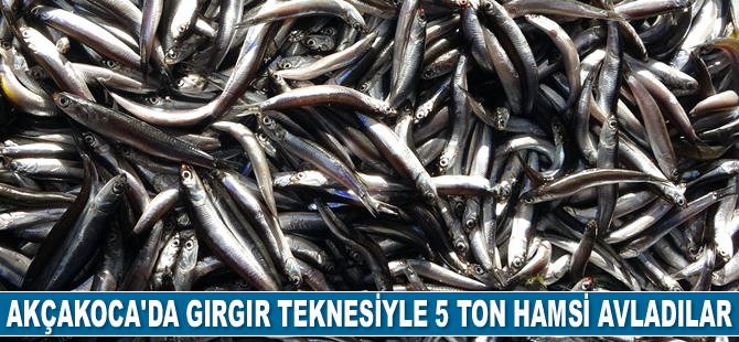 Akçakoca'da gırgır teknesiyle 5 ton hamsi avladılar