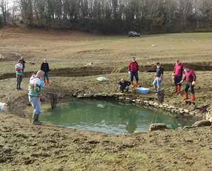 Mahsur kalan yavru balıkları kurtarmak için zamanla yarıştılar