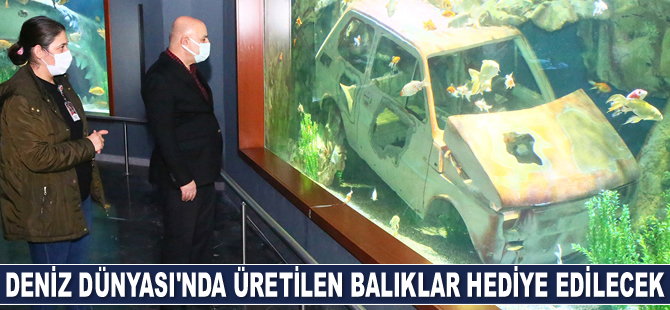 Deniz Dünyası’nda üretilen balıklar vatandaşa hediye edilecek