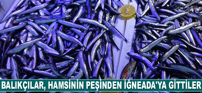 Balıkçılar, hamsinin peşinden İğneada'ya gittiler