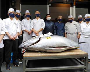 208 kiloluk orkinos 1.5 milyon liraya satıldı