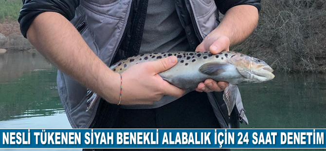 Nesli tükenen siyah benekli alabalık için denetimler aralıksız sürdürüyor