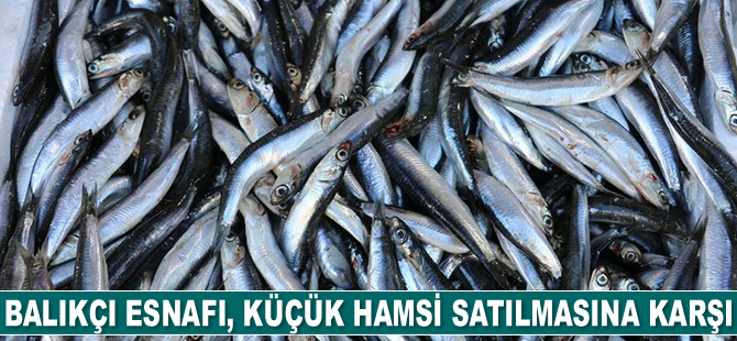 Balıkçılar, hamsinin neslinin tükenmemesi için çağrıda bulundu