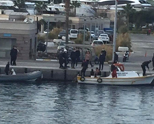 Didim’de deniz patlıcanı toplayan dalgıç vurgun yedi