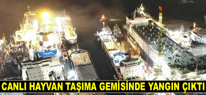 Torgem Tersanesi’ndeki canlı hayvan taşıma gemisinde yangın çıktı