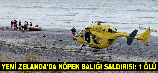 Yeni Zelanda'da köpek balığı saldırısı: 1 ölü