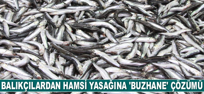 Balıkçılar, hamsi yasağına karşı 'buzhane' çözümünü devreye soktu
