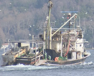 Kurallara uymayan 71 tekneye el koyuldu